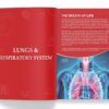Knowledge Encyclopedia: Human Body (Knowledge Encyclopedia For Children)