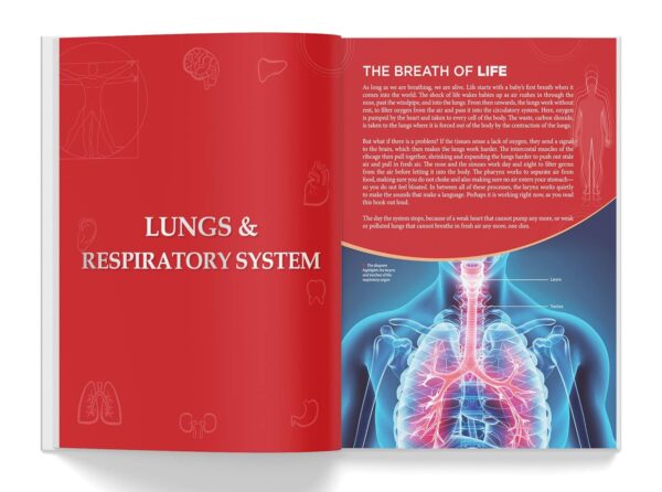 Knowledge Encyclopedia: Human Body (Knowledge Encyclopedia For Children)