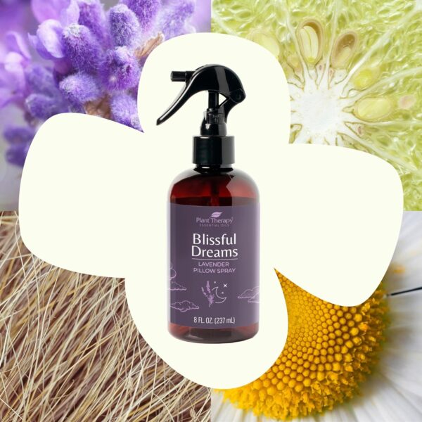 Plant Therapy Blissful Dreams Lavender Pillow and Linen Mist and Room Spray, for Relaxation & Sleep, Powered by Essential Oils Like Lavender & Roman Chamomile, Aromatherapy Sleep Spray, 8 oz
