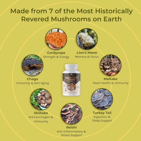 Naturealm Sacred 7 Mushroom Capsules Supplement – Boost Immunity, Focus, Vegan, Non-GMO – Lion’s Mane, Cordyceps, Reishi, Chaga, Maitake, Shiitake – Organic Fruiting Bodies, 30-Day Supply