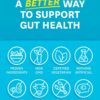 Zenwise Health Digestive Enzymes and Bromelain for Gut Health - Probiotic Multi Enzymes with Prebiotics and Probiotics for Women and Men for Digestive Health and Bloating Relief for Digestion - 60 CT
