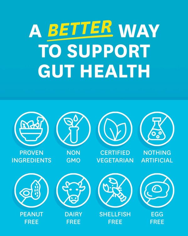 Zenwise Health Digestive Enzymes and Bromelain for Gut Health - Probiotic Multi Enzymes with Prebiotics and Probiotics for Women and Men for Digestive Health and Bloating Relief for Digestion - 60 CT
