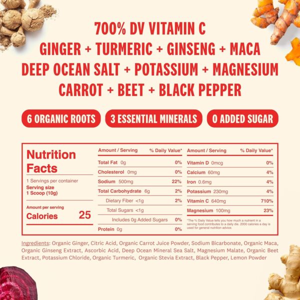 SUPEROOT® 100% Natural Detox & Immunity Electrolytes (Fizzy) | Ginger & Citrus Flavor | Vitamin C, Deep Ocean Minerals, & Antioxidants | Energy, Hydration | 0 Added Sugar | Caffeine Free | 30 Servings