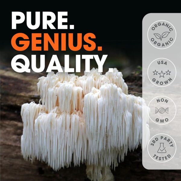 The Genius Brand Genius Lion's Mane Cognition Vitamins Supplement Capsules - Organic Nootropic Supplement, 1200mg per Serving – 120 Veggie Pills