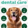 TropiClean Clean Teeth Gel for Dogs | Dog Dental Care | Dog Toothpaste | Breath Freshener | Easy Teeth Cleaning | Made in The USA | 2 oz.
