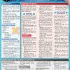 Wound Care: A Quickstudy Laminated Reference Guide