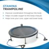 Stamina 36 Inch Fitness Trampoline w/ Foldable Steel Frame, 250 Pound Capacity, Gray