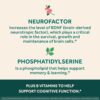 NEURIVA Ultra Decaffeinated Clinically Tested Nootropic Brain Supplement for Mental Alertness, Memory, Focus & Concentration, Cognivive, Neurofactor, Phosphatidylserine, Vitamins B6 B12, 60 Capsules