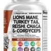 Clean Nutraceuticals Lions Mane 20in1 Mushroom Supplement with Turkey Tail Reishi Cordyceps Chaga Maitake Meshima Poria Cocos Shiitake Oyster Porcini Enoki - Pack