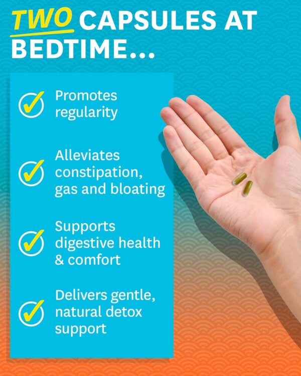 Zenwise Health 7 Day Cleanse – Detox & Colon Cleanse for Men & Women, Gut Cleanse Detox Pills for Digestive Health with Psyllium Husk, Senna Leaf, Bromelain, Ginger, ACV, and Probiotics - 14 CT