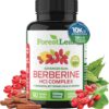 Berberine Supplement 1300mg per Serving- 97% Tested Ultra High Potency Berberine HCl with Ceylon Cinnamon, Bitter Melon & Gymnema, 10:1 Extract Berberis Supplements, Weight Management, 90 Veggie Caps