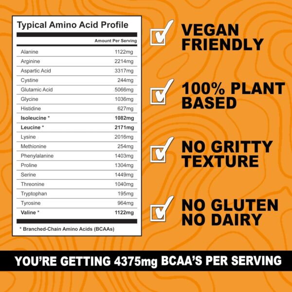 It's Just! Pea Protein Isolate, Plant Based, Premium Quality, Gluten Free, Vegan, Keto Friendly, Product of Canada, Packaged in USA (2.5 Pound, Chocolate)