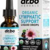 Lymphatic Drainage Supplements Drops - Organic Lymphatic Support Liquid Drops Cleanse with Echinacea for Lymph System Support Supplement, Lymph Node Detox Cleanse System Drainage - 1oz Vegan Non-GMO