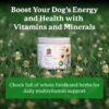 Dr. Harvey's Herbal Multi-Vitamin and Mineral Supplement for Dogs (7 Ounces)