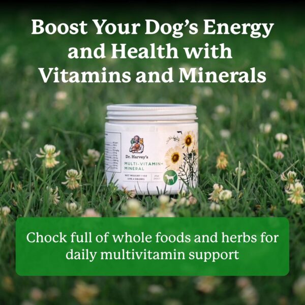 Dr. Harvey's Herbal Multi-Vitamin and Mineral Supplement for Dogs (7 Ounces)