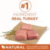 Purina ONE Plus Healthy Weight High-Protein Dog Food Dry Formula - 40 lb. Bag