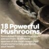 Herbtonics All-in-One Mushroom Supplement for Immune System Support | Nootropic Brain Support Supplement with Lion's Mane, Cordyceps, Reishi | Powerful Mushroom Complex | 120 Vegan Capsules