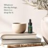 LIVEDROPS 24/7 Relaxed Essential Oil Blend - Tranquil Scent of Lavender, Myrrh & Cedarwood - Aromatherapy - Crafted in France - Pure & Natural - Apply Directly on Skin or in Diffuser