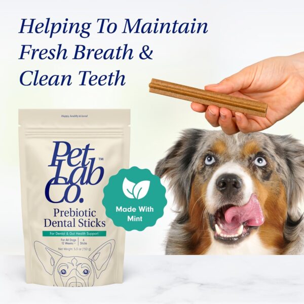 PetLab Co. Dental Sticks – Dog Dental Chews -Target Plaque & Tartar Build-Up at The Source - Designed to Maintain Your Dog’s Oral Health, Keep Breath Fresh and Provide Digestive Help (6 Sticks)