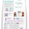 Hill's Science Diet Perfect Weight, Adult 1-6, Small & Mini Breeds Weight Management Support, Dry Dog Food, Chicken Recipe, 4 lb Bag