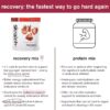 SKRATCH LABS Recovery- Sport Drink Mix | Complete Milk Protein with Carbs, Electrolytes, and Probiotics | Post Workout Powder | Strawberries + Cream