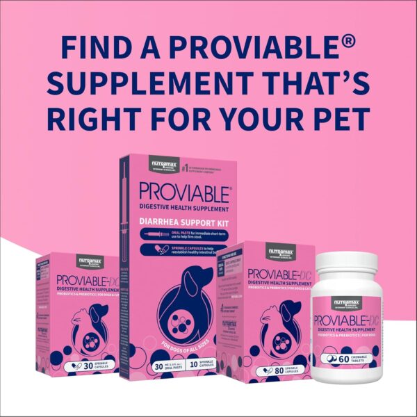 Nutramax Proviable Digestive Health Supplement Multi-Strain Probiotics and Prebiotics for Cats and Dogs - with 7 Strains of Bacteria, 80 Capsules, blue