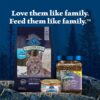 Blue Buffalo Wilderness Natural Mature Dry Cat Food for Cats 7+ Years, High-Protein and Grain-Free Diet, Supports Immune System Health and Energy to Stay Active, Chicken, 5-lb. Bag