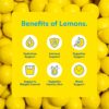 Lemon Perfect 4-Flavor Variety Pack, Hydrating Flavored Lemon Water, Zero Sugar, Refreshing, Organic, 15.2 fl oz Bottles (12-Pack)
