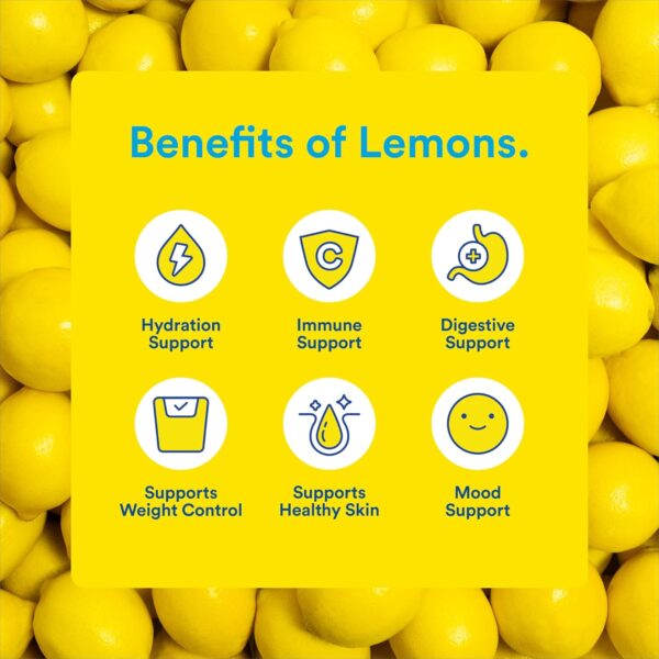 Lemon Perfect 4-Flavor Variety Pack, Hydrating Flavored Lemon Water, Zero Sugar, Refreshing, Organic, 15.2 fl oz Bottles (12-Pack)