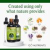 Go Nutrients Intestinal Edge - Gut Cleanse for Humans with Wormwood, Black Walnut, Clove & More - Liquid Drops for Digestive Support - Non-GMO Tincture - 2oz