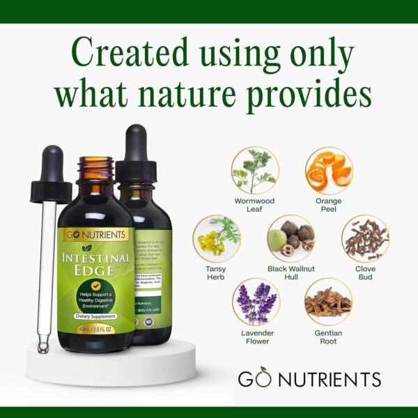 Go Nutrients Intestinal Edge - Gut Cleanse for Humans with Wormwood, Black Walnut, Clove & More - Liquid Drops for Digestive Support - Non-GMO Tincture - 2oz
