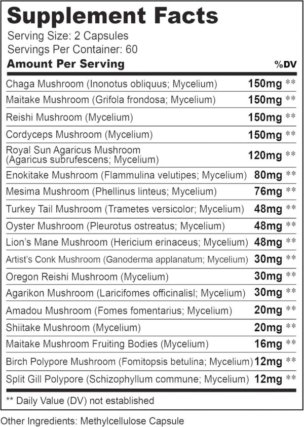Herbtonics All-in-One Mushroom Supplement for Immune System Support | Nootropic Brain Support Supplement with Lion's Mane, Cordyceps, Reishi | Powerful Mushroom Complex | 120 Vegan Capsules