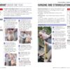 ACEP First Aid Manual 5th Edition: The Step-by-Step Guide for Everyone