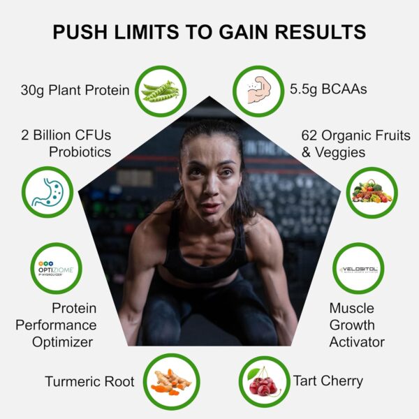 Vegan Sport Protein Powder Chocolate 20 servings – 30g Plant Based Protein, VELOSITOL, BCAAs, Organic Greens & Fruits, Probiotics, Tart Cherry for Post Workout Recovery, Inform Sports Certified Keto