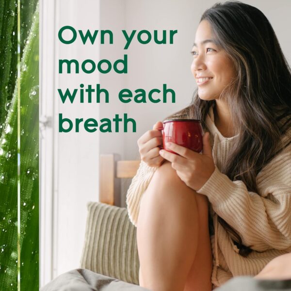 Glade Aromatherapy Diffuser & Essential Oil, Air Freshener for Home, Find Clarity Scent with Notes of Bergamot & Lemongrass, 0.56 Fl Oz