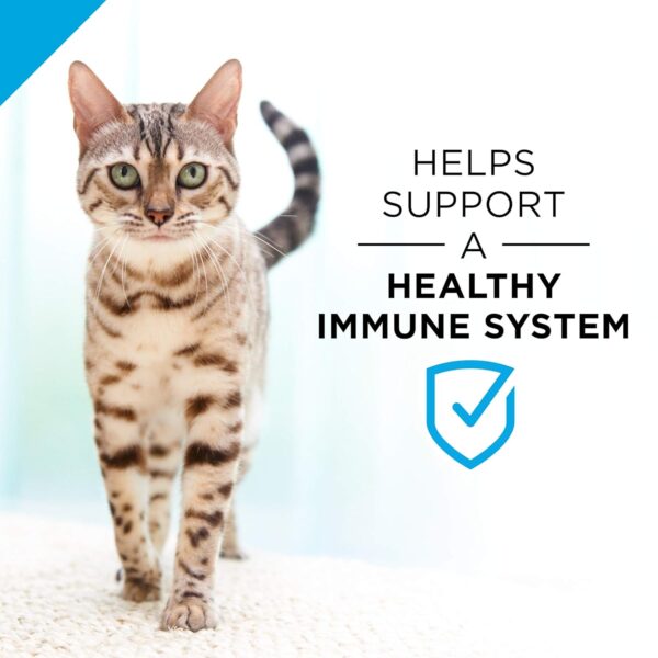 Purina Pro Plan Weight Control Pate Wet Cat Food, SPECIALIZED Weight Management Turkey & Rice Entree - (Pack of 24) 3 oz. Pull-Top Cans