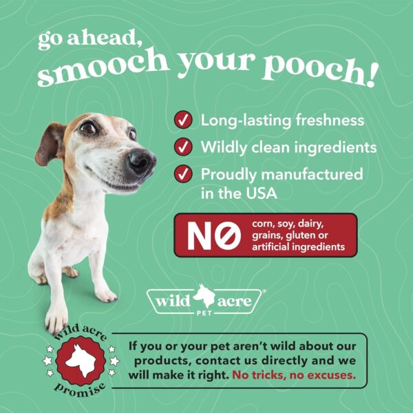 81Z3R0GaJsL._AC_SL1500_.jpg Dental Powder for Dogs - Dog Breath Freshener Dental Powder for Teeth Cleaning Plaque Off, Dental Care for Dogs, Tartar Remover for Teeth - Fresh Breath Probiotics