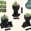 Der Rose 3pcs Fake Succulents Plants Artificial for Black Bathroom Bedroom Home Room Decor Aesthetic Indoor