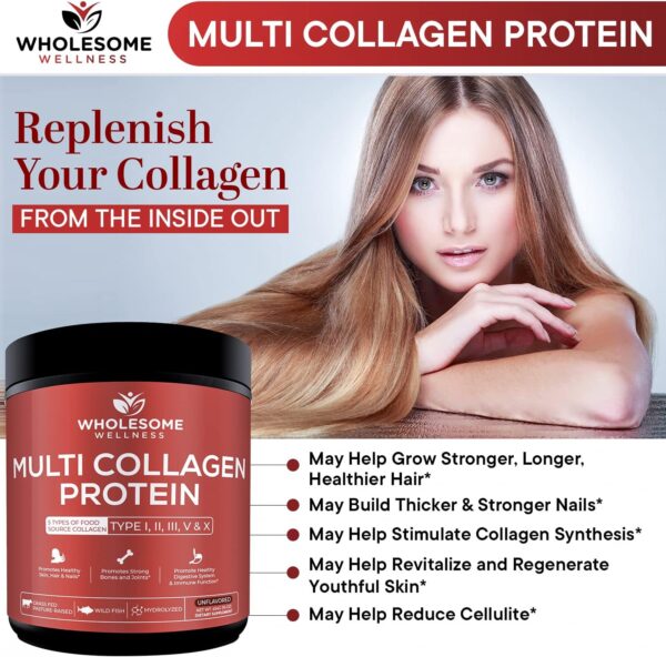Multi Collagen Protein Powder Hydrolyzed (Type I II III V X) Grass-Fed All-in-One Super Bone Broth + Collagen Peptides - Premium Blend of Beef, Chicken, Wild Fish, Eggshell, 58 Servings, Unflavoured