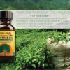 Humco 481791001 100% Pure Australian Tea Tree Oil
