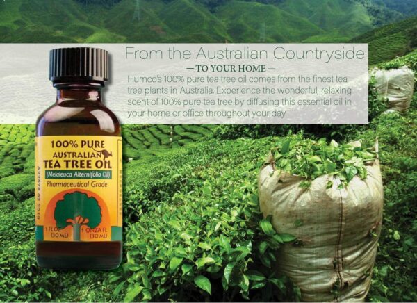 Humco 481791001 100% Pure Australian Tea Tree Oil