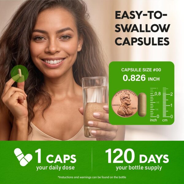 Green Tea Extract Capsules with Green Coffee Beans & Apple Cider Vinegar - Energy & Metabolism Support - Green Tea Supplement 50% EGCG - 20:1 Natural Extract - for Men & Women - 120 Vegan Capsules