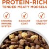 Purina ONE Plus Healthy Weight High-Protein Dog Food Dry Formula - 40 lb. Bag