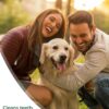 TropiClean Clean Teeth Gel for Dogs | Dog Dental Care | Dog Toothpaste | Breath Freshener | Easy Teeth Cleaning | Made in The USA | 2 oz.