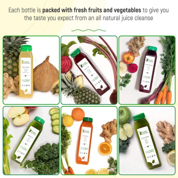 3 Day Juice Cleanse by Raw Fountain, All Natural Raw Juice Detox Cleanse, Juicing for Weight Management, Cold Pressed Juice Fast, Great Way to Jumpstart a Healthy Diet, 18 Bottles 12oz, 3 Ginger Shots