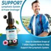 Lymphatic Drainage Supplements Drops - Organic Lymphatic Support Liquid Drops Cleanse with Echinacea for Lymph System Support Supplement, Lymph Node Detox Cleanse System Drainage - 1oz Vegan Non-GMO