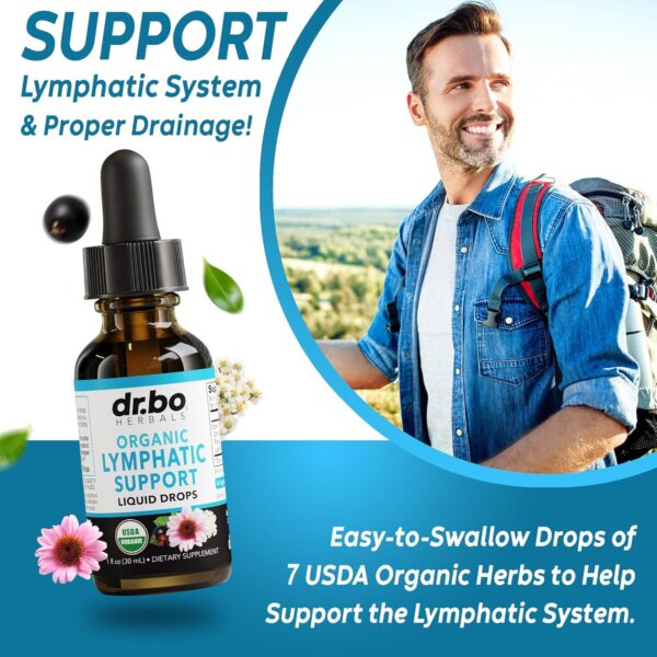 Lymphatic Drainage Supplements Drops - Organic Lymphatic Support Liquid Drops Cleanse with Echinacea for Lymph System Support Supplement, Lymph Node Detox Cleanse System Drainage - 1oz Vegan Non-GMO