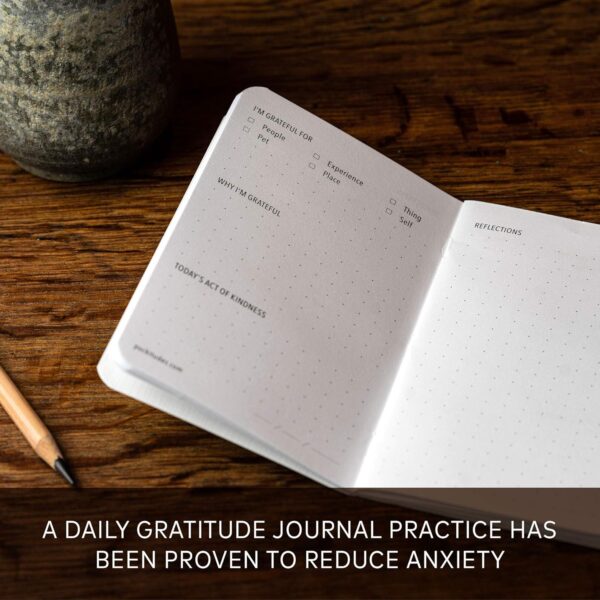 Pocket-sized Gratitude Journals - Freedom Set (Manage Stress & Anxiety, Mental Health Support, Self-Care Checklist, Prompts, 3.5" x 5.5", 36 pages)