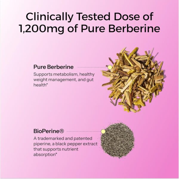 HUM Best of Berberine Supplement 1200mg - Pure Potency for Metabolic Wellness, Enhanced with BioPerine for Maximum Absorption (60 Capsules)