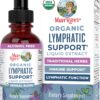 MaryRuth Organics Lymphatic Support Drops | USDA Organic Lymphatic Cleanse Immune Support Supplement| Lymphatic Support with Echinacea & Elderberry | Blue Vervain | Vegan | Non-GMO | 30 Servings |